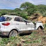 Árboles caídos, calles cortadas y 15 vehículos evacuados: un temporal afectó a El Trapiche
