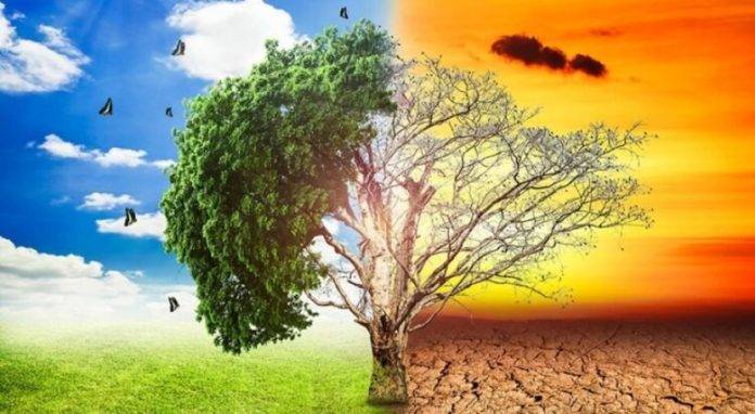 clima , niño , niña