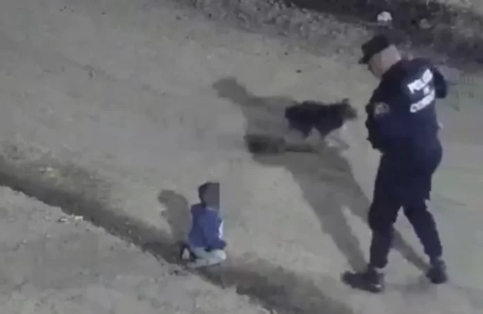 Un bebé gateaba por Córdoba