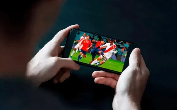 ciberdelito la justicia ordenó el bloqueo de fútbol libre y detuvo al creador de Megadeporte