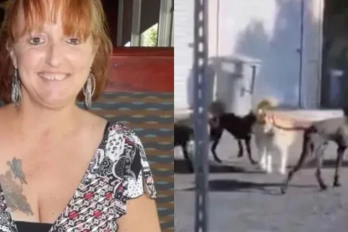 EEUU una mujer murió al ser atacada por una jauría
