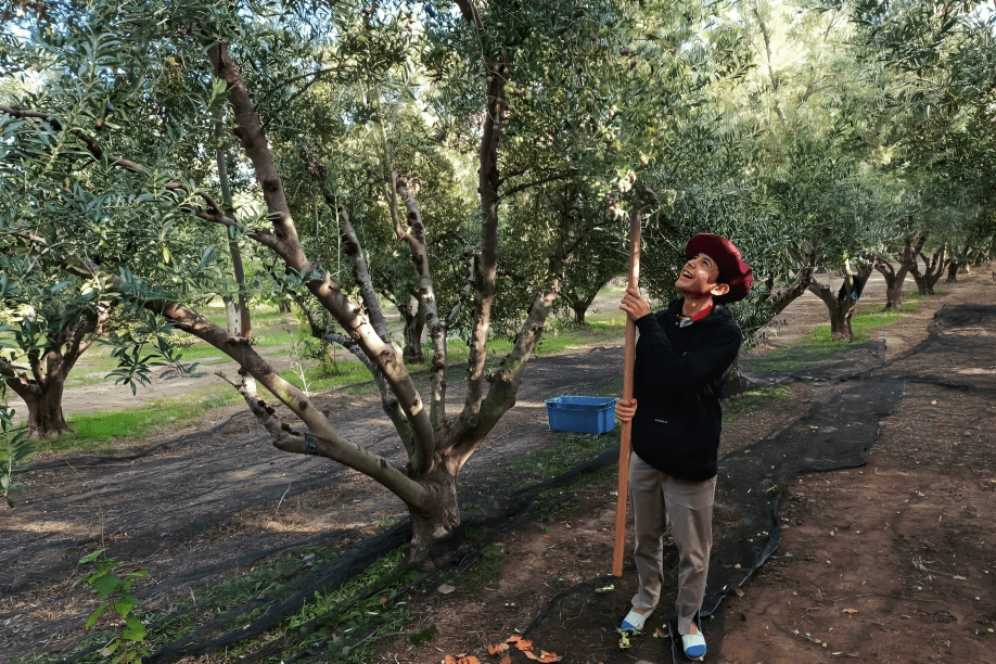“De la tierra al sabor”: Sol Puntano abre sus campos a estudiantes y vecinos