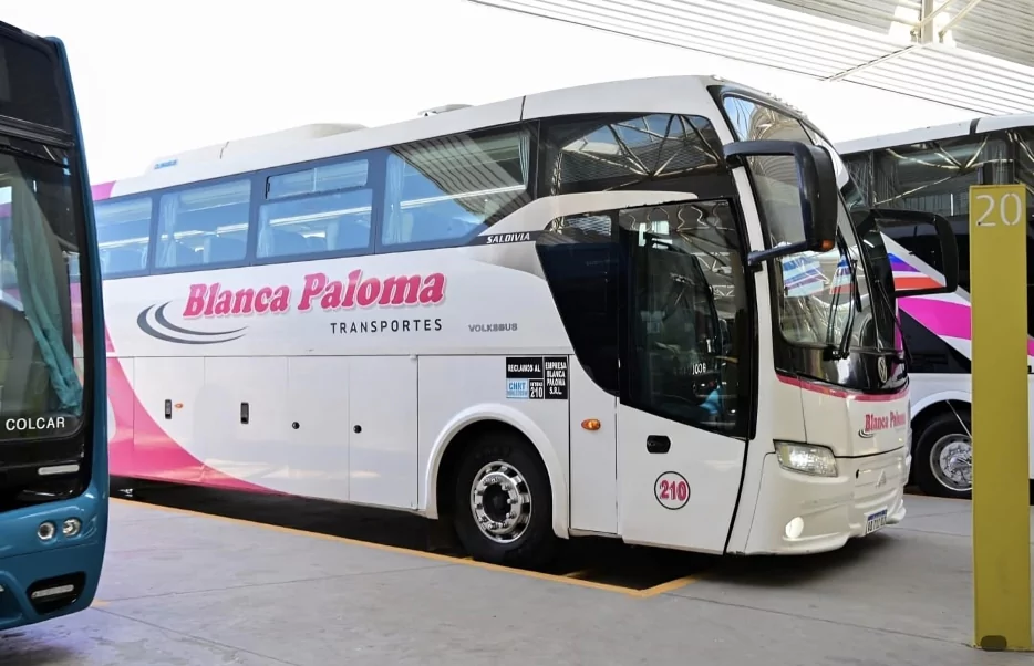 Blanca Paloma renueva su flota: incorporará cuatro colectivos cero kilómetro en julio