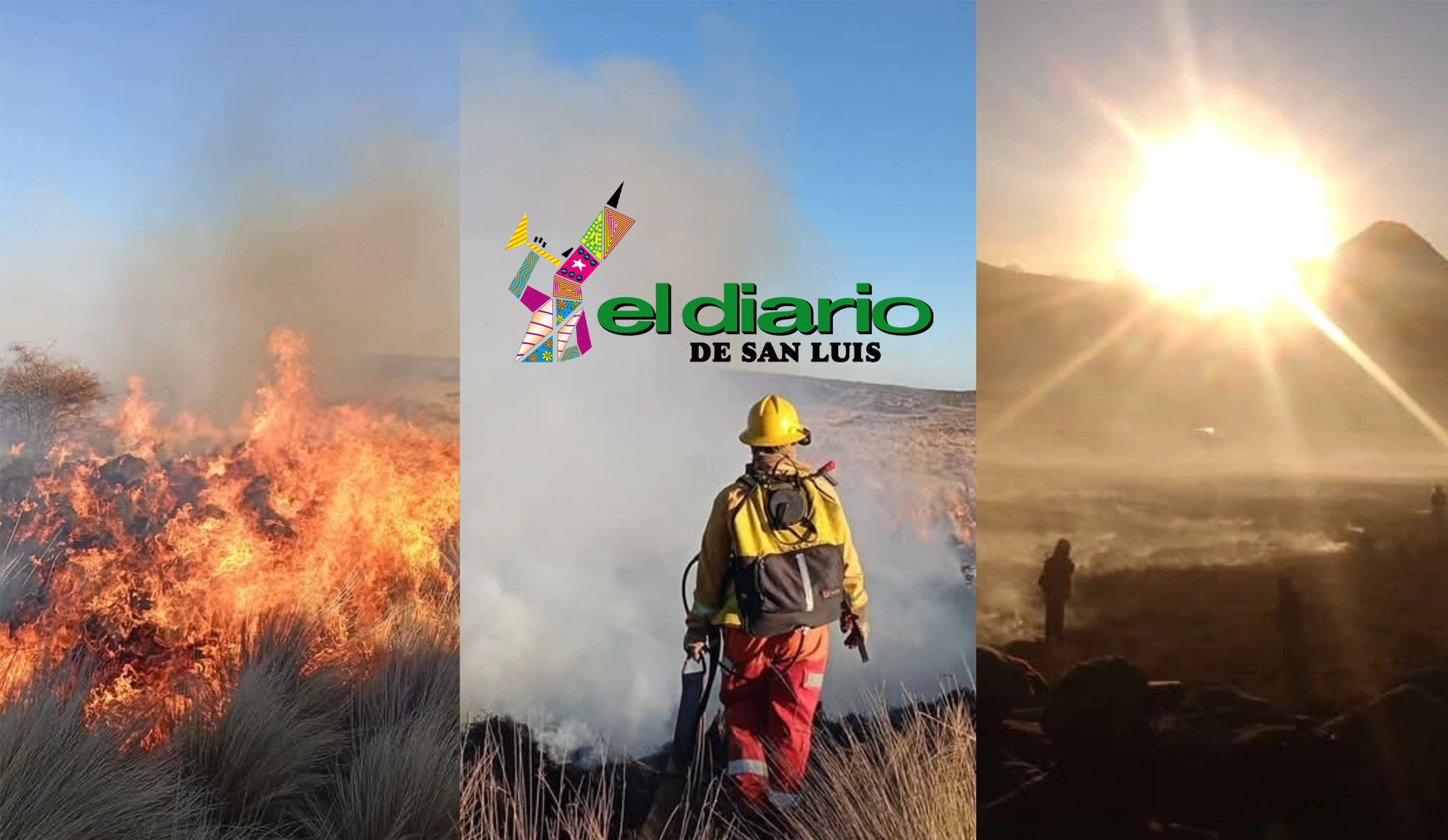 bomberos de la carolina sin movilidad propia