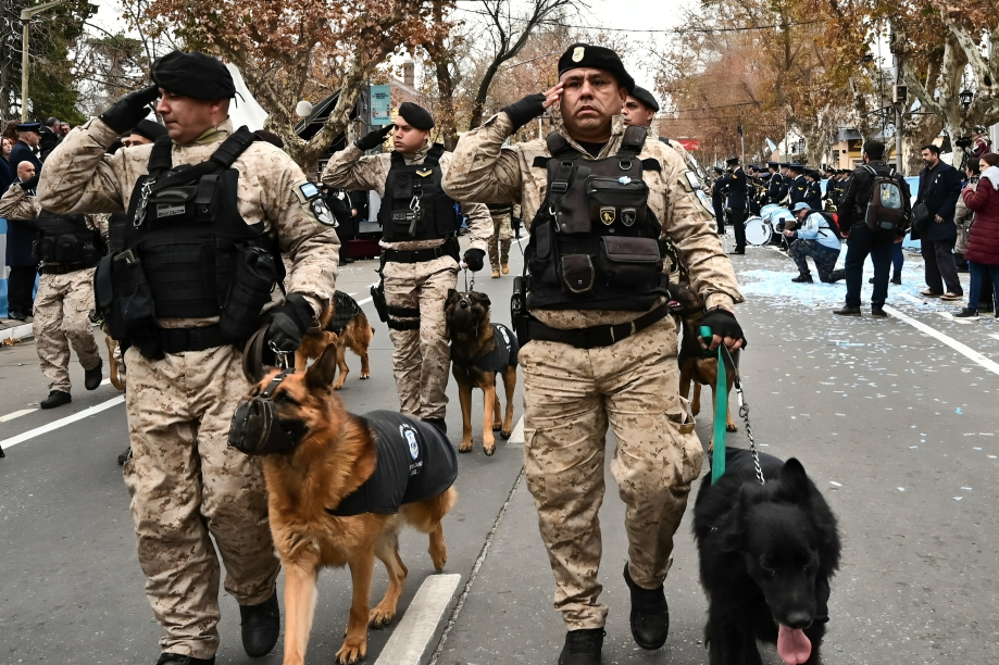 El desfile del 9 de Julio colmó de patriotismo Villa Mercedes